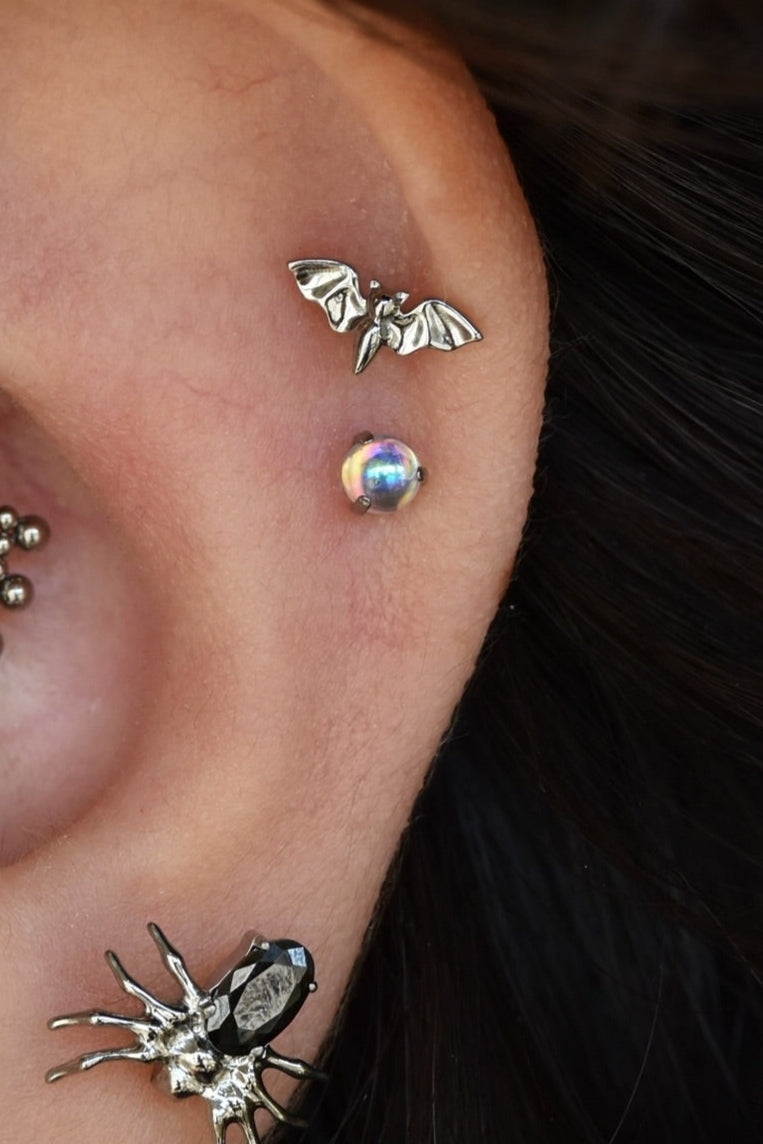 Creatures Ear Bundle