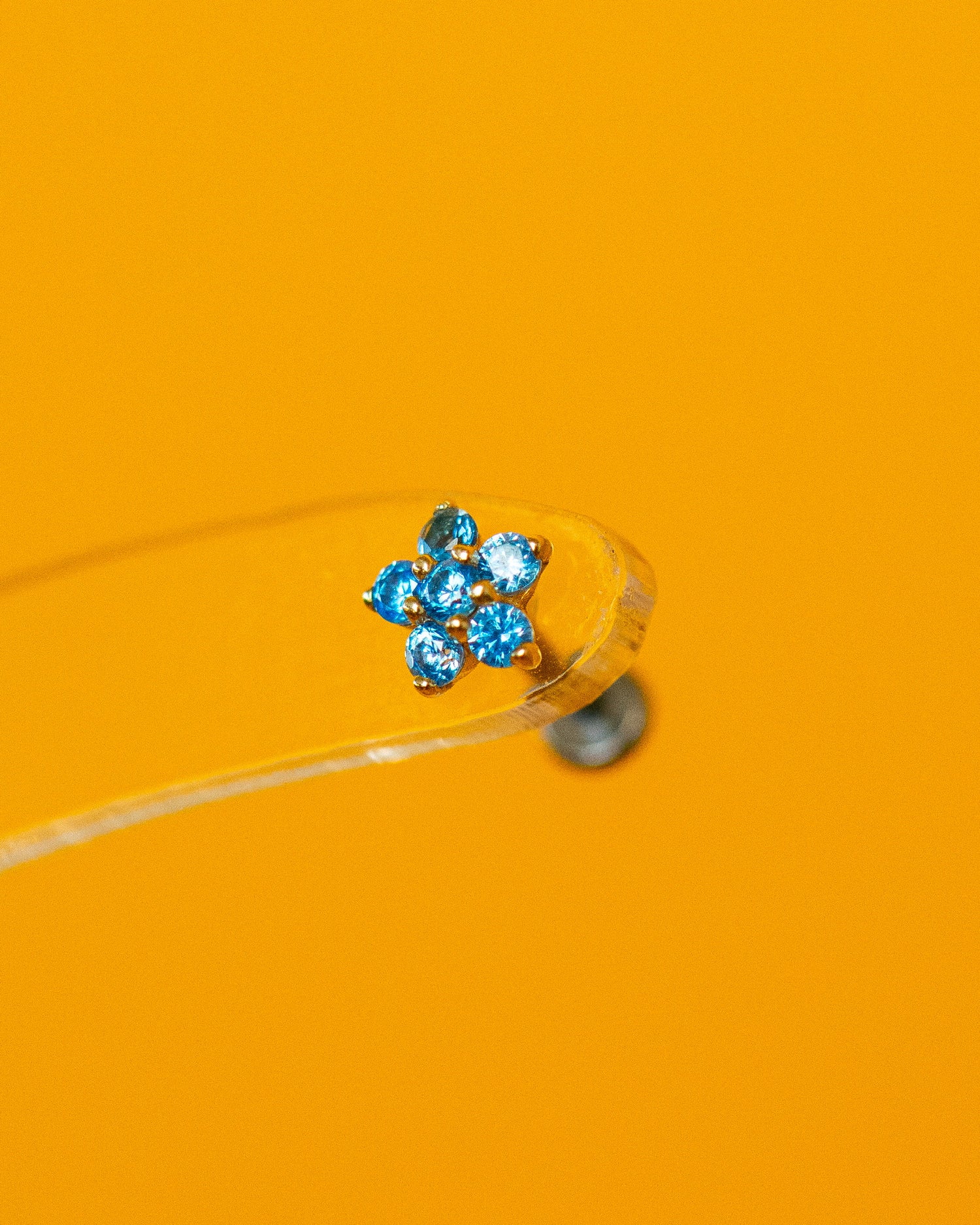 Nose Jewelry