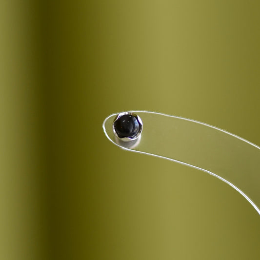 Black Agate Cabochon Stud