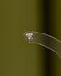 14K Martini Glass Stud