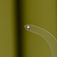 14K Dewdrop Stud