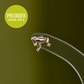 14K Frog Stud