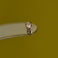 14K Tulip Stud
