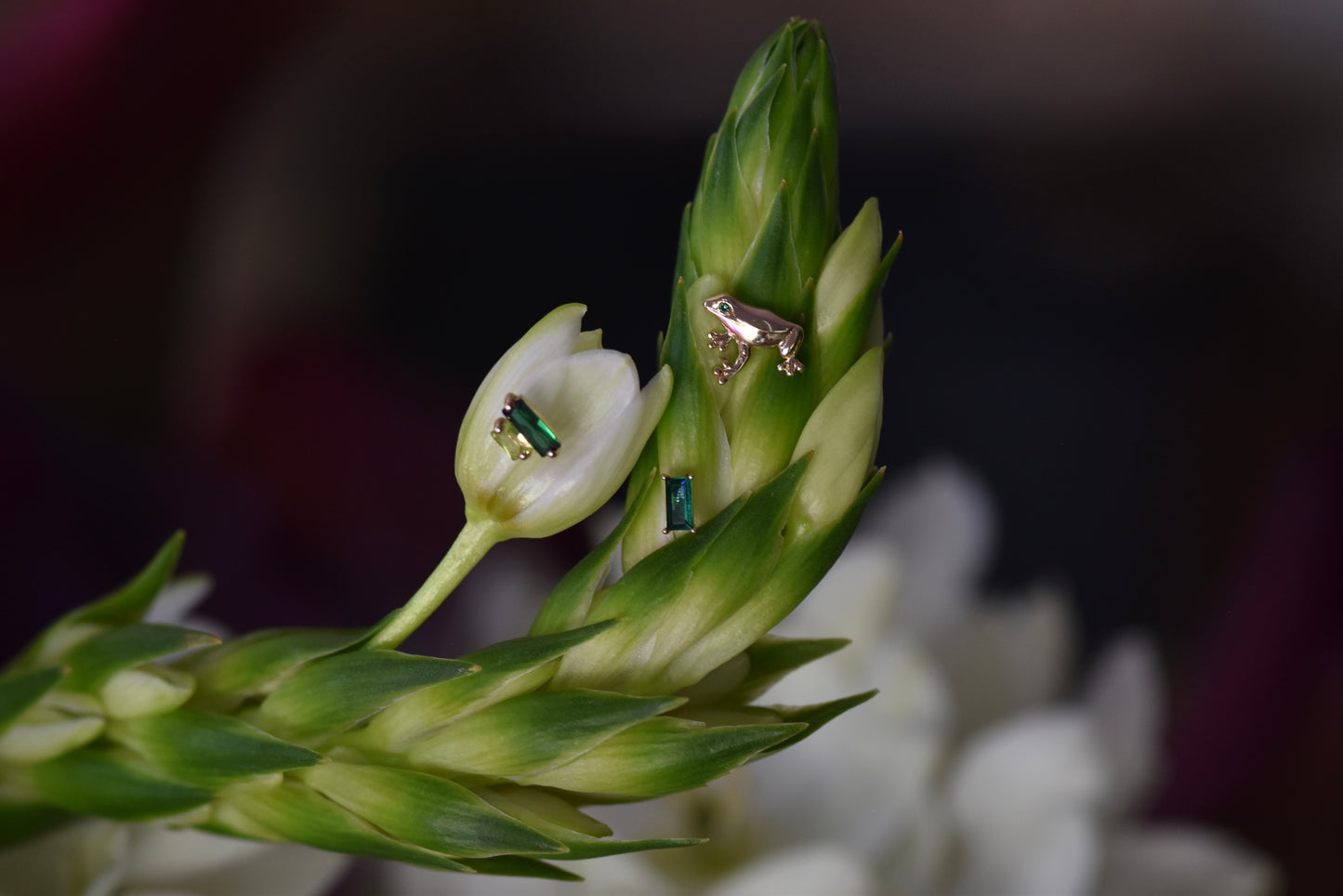 14K Frog Stud